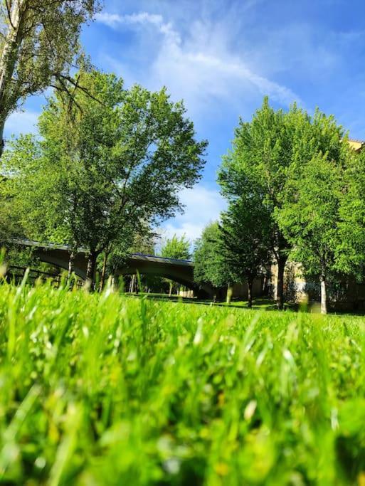 Mirador Del Oja Daire Ezcaray Dış mekan fotoğraf